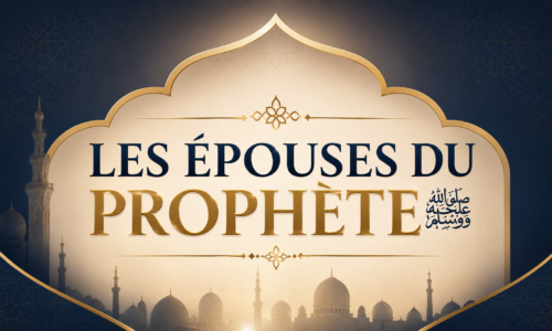 cours de vignettes