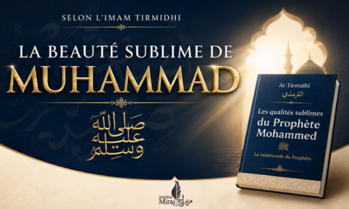 cours de vignettes